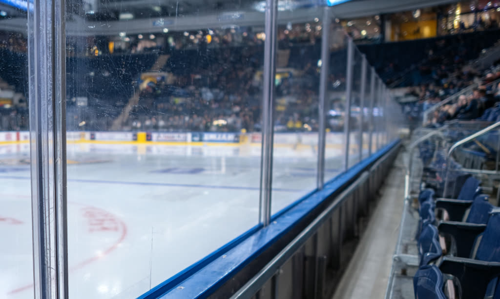 Ice hockey arena protection